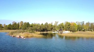 Mavi gökyüzü ile denizde Kuru Reed Çim . Aland adalarında deniz kenarından Drone video