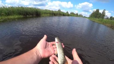 Balıkçı nehirde pike serbest