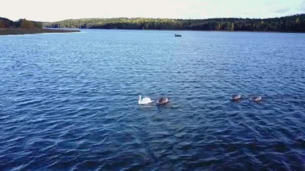 Åland, blått hav, fiske uppblåsbar båt, skandinaviskt landskap — Stockvideo