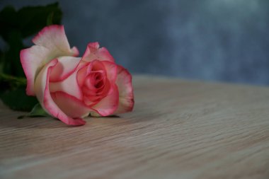 dolce vita gri arka plan ile ahşap gül