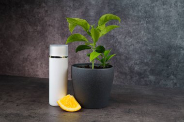 Turuncu ağaç, portakal dilimi ve gri masa üzerinde beyaz kozmetik şişesi