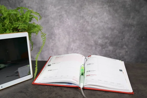 Vista superior Mesa de trabalho do escritório com bloco de notas e tablet e flor verde — Fotografia de Stock