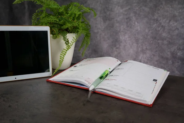 Felülnézet irodai íróasztal Jegyzettömb és tabletta és zöld virág — Stock Fotó