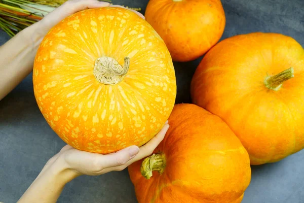 Organisk orange pumpa och händer någon som håller pumpa i handen närbild — Stockfoto