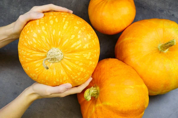 Organisk orange pumpa och händer någon som håller pumpa i handen närbild — Stockfoto