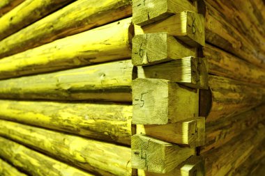 Kütüklerden ahşap kulübeyi yeniden birleştirdim. köşe toplantısı