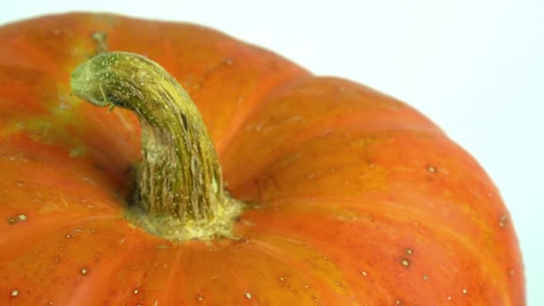 Orangefarbener Herbst-Kürbis rotiert aus nächster Nähe, 4k-Video — Stockvideo