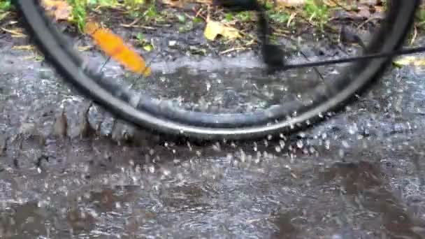 Çamurlu bir su birikintisinde bisiklet sürmek, yakın çekim - yavaş çekim — Stok video