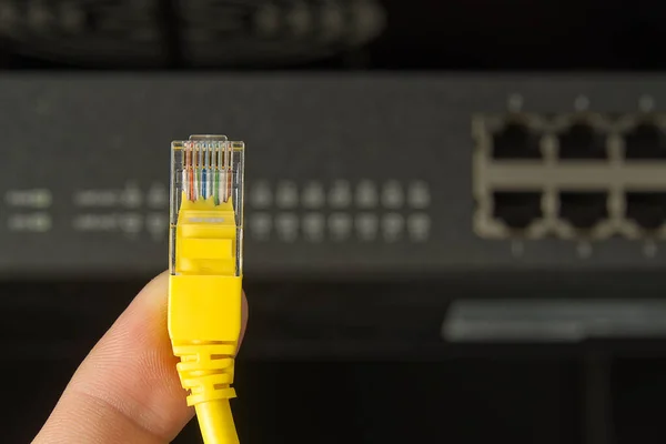 Przełącznik sieciowy i kabel ethernet w szafie rack. Technologia połączeń sieciowych przez kable cat6 i cat5. Przełącznik sieciowy i kable. — Zdjęcie stockowe