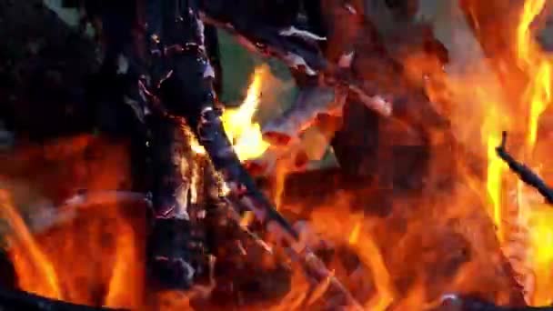 Un feu qui fait rage dans un tonneau. brûler des grumes, des planches, du bois de chauffage, du pin, dans un tonneau. feu de joie avec des étincelles volantes gros plan. — Video