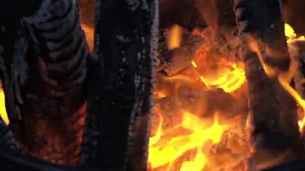 Zuřící oheň v sudu. pálení klád, prken, dřeva, borovic, v sudu. táborák s létajícími jiskry zblízka. — Stock video