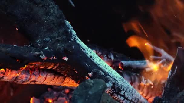 Un incendio furioso in un barile. legna da ardere, legna da ardere, pino, in un barile. falò con scintille volanti primo piano . — Video Stock