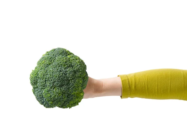 Brócolos verdes orgânicos frescos na mão das mulheres, conceito comida saudável. Mão feminina segurando brócolis isolado em fundo branco . — Fotografia de Stock