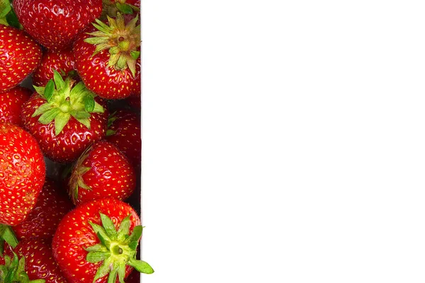 Borda de morangos orgânicos no lado esquerdo com no fundo branco mockup para texto . — Fotografia de Stock