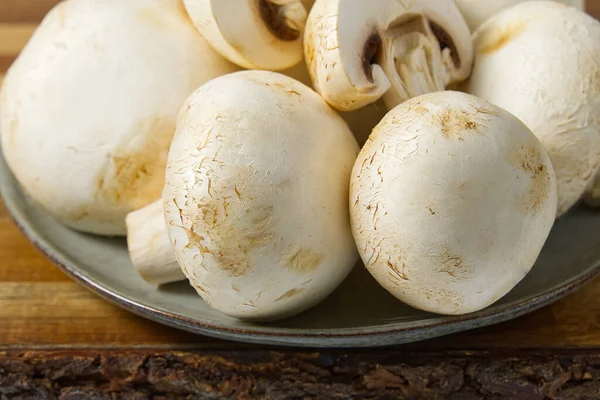Cogumelos de champignon frescos disparam macro. Close-up branco cortado champignon . — Fotografia de Stock