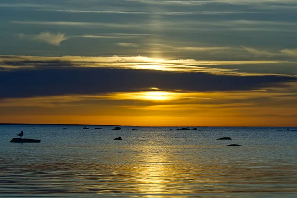 Coucher de soleil au bord de la mer Baltique en été, Estonie. foyer doux. — Photo