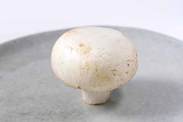 Fresh champignon mushroom macro shoot. Close-up white champignon at grey plate. — Stock Photo, Image