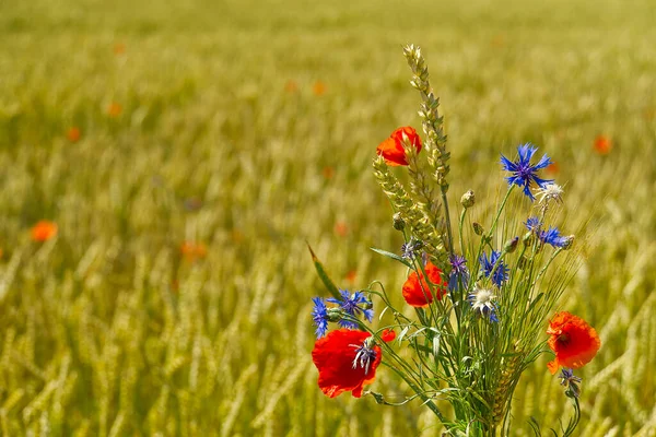 黄色の大麦の畑を背景に野生の花の花束。暑い夏の日に畑の青い熟した大麦, — ストック写真