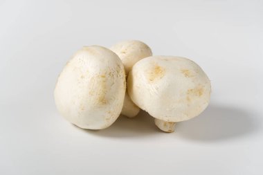 Taze şampiyon mantarlar makro atış. Yakın plan beyaz şampiyon..