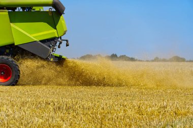 Sıcak yaz gününde hasat işbaşında..