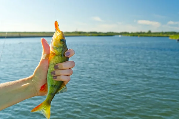 Femmes Pêcheur tenant une perche à la main sur fond de mer baltique. espace de copie — Photo