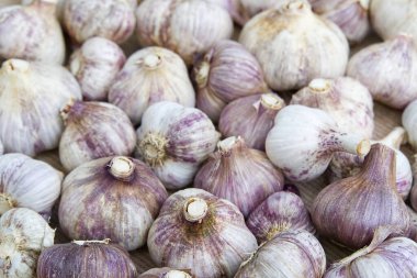 Beyaz sarımsak dokusu. Pazar masasında taze sarımsak seçici bir odak noktası. Vitamin sağlıklı yemek baharatları. Baharatlı. Beyaz sarımsak kafalar..