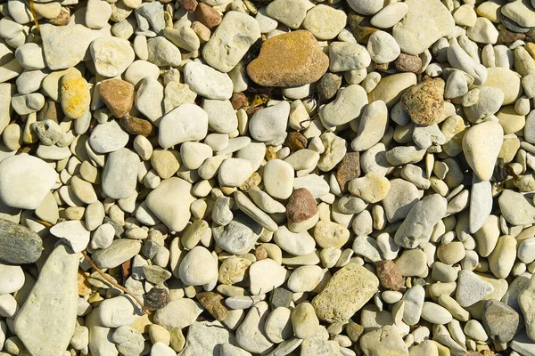 Pantai Montreck Sea. Kerikil kecil alami di pantai berbatu, dapat berupa tekstur atau backround. — Stok Foto