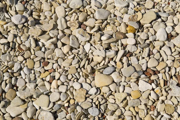 Baltick Playa del mar. Pequeños guijarros naturales en la orilla del mar rocoso, se puede utilizarcomo textura o fondo. — Foto de Stock