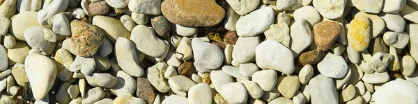 Baltick Sea Beach. Pequenos seixos naturais na costa rochosa, panorama. pode ser usedas textura ou backround . — Fotografia de Stock