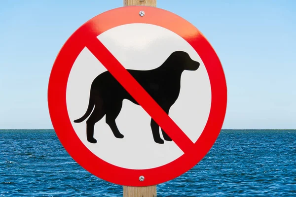 No dog sign on a sea beach. no pets allowed sign to swimm asign blue sea. — Stock Photo, Image