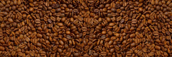 Grains de café torréfiés fond de bannière. café brun grains texture bannière bpanoramique. — Photo
