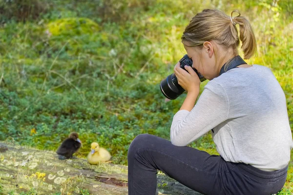 Молодая девушка фотографирует милых утят в лесу. Обучение фотографированию детей, стажировка на природе. молодая девушка учится фотографировать — стоковое фото