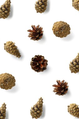 Beyazın yaratıcı çam kozalağı Noel geçmişi. Çam dalları ve koniler. En az yaratıcı koni düzenleme şablonu. Düz yatış, üst manzara. Yeni yıl duvar kağıdı. Doğa çam kozalağı modern Noel Arkaplanı