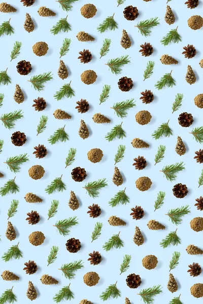 Creative Pine Kužel Vánoční Pozadí Modré Borové Větve Kužely Minimální — Stock fotografie