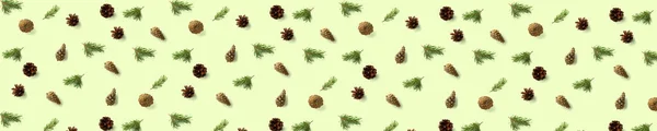 Creative Pine Kužel Vánoční Pozadí Zeleném Banneru Borové Větve Kužely — Stock fotografie