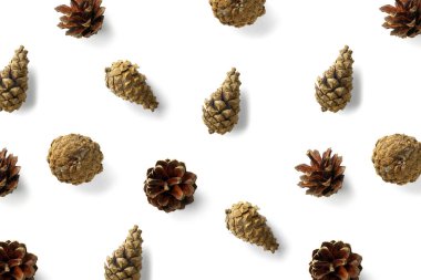 Beyazın yaratıcı çam kozalağı Noel geçmişi. Çam dalları ve koniler. En az yaratıcı koni düzenleme şablonu. Düz yatış, üst manzara. Yeni yıl duvar kağıdı. Doğa çam kozalağı modern Noel Arkaplanı