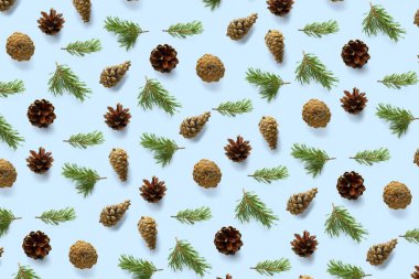 Mavi üzerine yaratıcı çam kozalağı Noel arkaplanı. Çam dalları ve koniler. En az yaratıcı koni düzenleme şablonu. Düz yatış, üst manzara. Yeni yıl duvar kağıdı. Doğa çam kozalağı modern Noel Arkaplanı