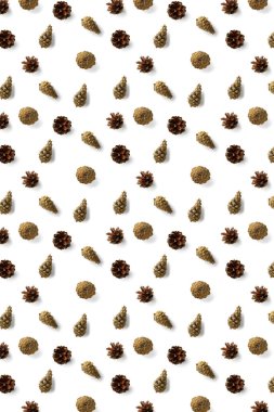 Beyazın yaratıcı çam kozalağı Noel geçmişi. Çam dalları ve koniler. En az yaratıcı koni düzenleme şablonu. Düz yatış, üst manzara. Yeni yıl duvar kağıdı. Doğa çam kozalağı modern Noel Arkaplanı