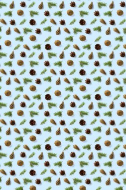 Mavi üzerine yaratıcı çam kozalağı Noel arkaplanı. Çam dalları ve koniler. En az yaratıcı koni düzenleme şablonu. Düz yatış, üst manzara. Yeni yıl duvar kağıdı. Doğa çam kozalağı modern Noel Arkaplanı