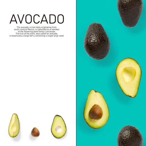Modern creative avocado collage with simple text on solid color background. Avocado slices creative layout on blue background. Flat lay, Design elements, Food concept