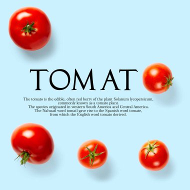 Mavi arka planda domatesten yapılmış yaratıcı bir düzen. Yaratıcı düz domates seti, beyaz arkaplan üzerine basit metin, kopyalama alanı. domates temalı dekorasyon tasarımı veya vejetaryenlik kavramı.
