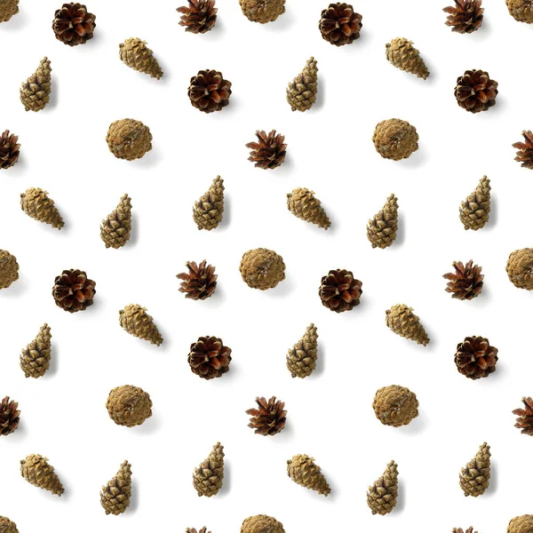 Çam kozalaklarından kusursuz noel deseni, beyaz arka planda iğneler. Modern çam kozalağı Noel kolajı. Çam kozalaklarından yapılmış kağıt, kumaş, duvar kağıdı veya arkaplan baskısı.