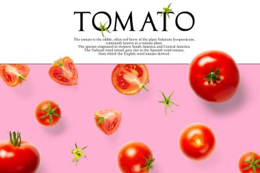 Pembe arka planda domatesten yapılmış yaratıcı bir düzen. Yaratıcı düz domates seti, beyaz arkaplan üzerine basit metin, kopyalama alanı. domates temalı dekorasyon tasarımı veya vejetaryenlik kavramı.