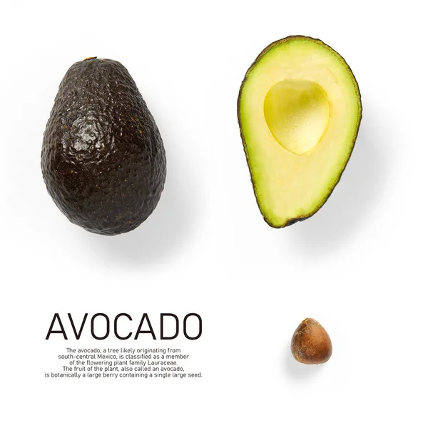 Moderne Creatieve Avocado Collage Met Eenvoudige Tekst Effen Kleur Achtergrond — Stockfoto