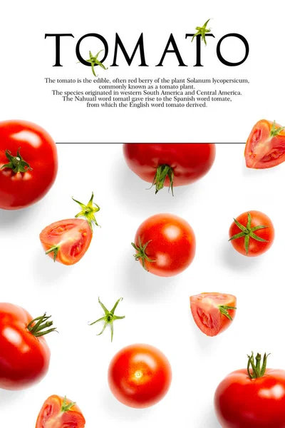 Creative layout made of tomato on the white background. Creative flat lay set of tomatoes with simple text on white background, copy space. tomato theme decoration design or vegetarianism concept.