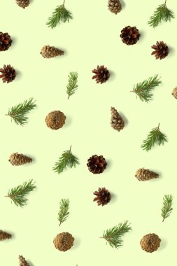 Yeşil konusunda yaratıcı çam kozalağı Noel arkaplanı. Çam dalları ve koniler. En az yaratıcı koni düzenleme şablonu. Düz yatış, üst manzara. Yeni yıl duvar kağıdı. Doğa çam kozalağı modern Noel Arkaplanı