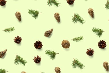 Yeşil konusunda yaratıcı çam kozalağı Noel arkaplanı. Çam dalları ve koniler. En az yaratıcı koni düzenleme şablonu. Düz yatış, üst manzara. Yeni yıl duvar kağıdı. Doğa çam kozalağı modern Noel Arkaplanı