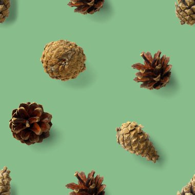 Çam kozalaklarından kusursuz noel deseni, yeşil arka planda iğneler. Modern çam kozalağı Noel kolajı. Çam kozalaklarından yapılmış kağıt, kumaş, duvar kağıdı veya arkaplan baskısı.