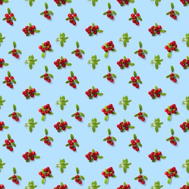 Lingonberry 'nin mavi arka planda dikişsiz deseni var. Tekstil, kumaş, baskı ya da posterler için dikişsiz desen olarak yapraklı taze inek üzümü ya da kızılcık.