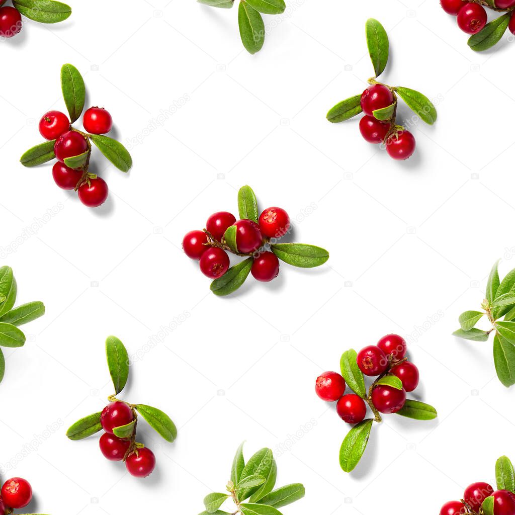 Lingonberry seamless pattern on white background. Fresh cowberries or cranberries with leaves as seamless pattern for textile, fabric, print or posters